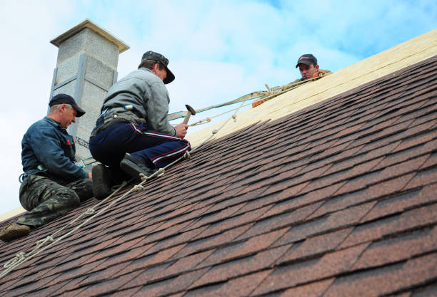 Best Roof Repair Services  in Kingsford, MI
